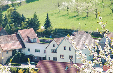 Maria Laurinda Salari-Lotter